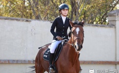 成品禁用短视频app推荐下载